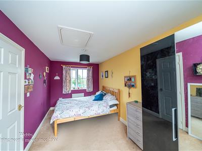 Picture 24